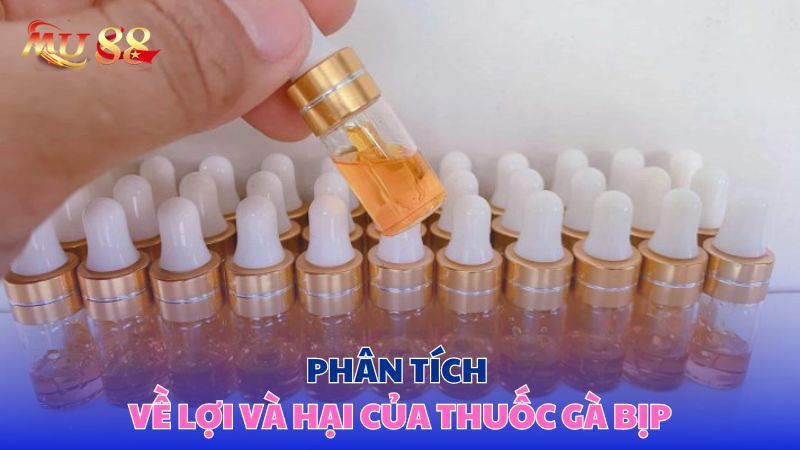 Phân tích về lợi và hại của thuốc gà bịp